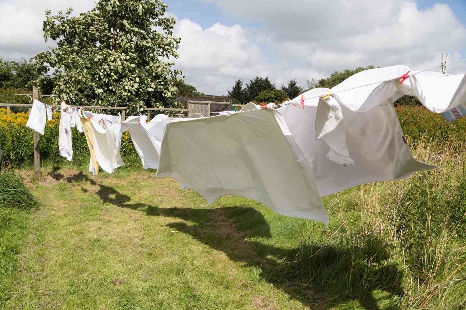 clothes-drying-clothes-line